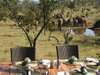 Royal Madikwe - Deck Dining 